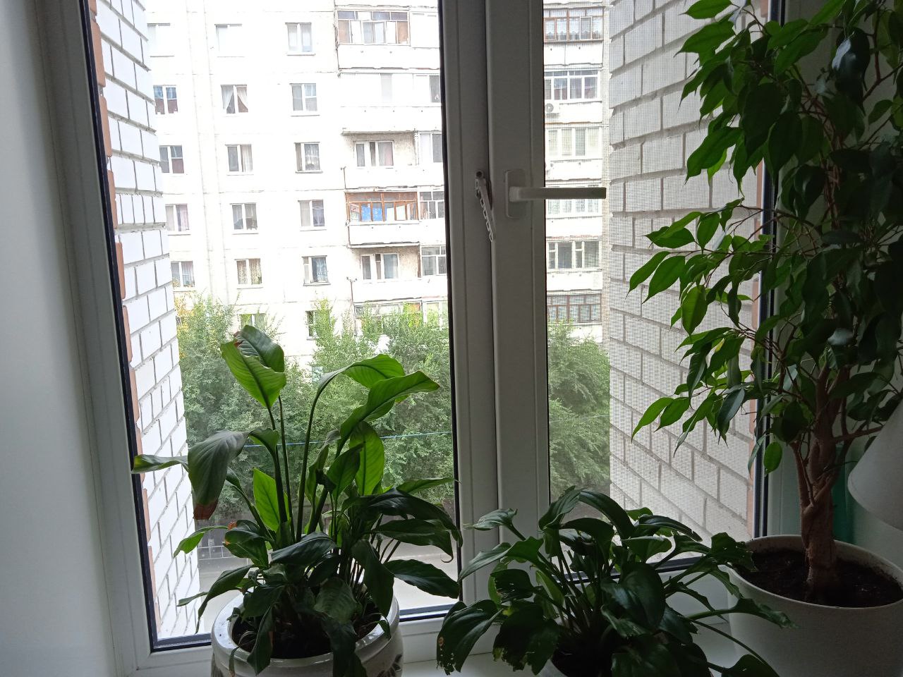 https://vologda.delaem-okna.ru/storage/app/uploads/public/63f/332/8c0/63f3328c0d6f7867060515.jpg